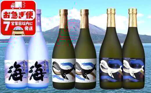 C3-25114/大海酒造 720ml 6本セット鹿児島県垂水市39000酒・アルコール焼酎