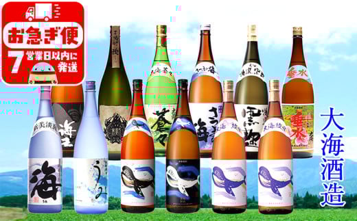 J12-2533/大海酒造飲み比べ 1800ml 12本セット鹿児島県垂水市125000酒・アルコール焼酎