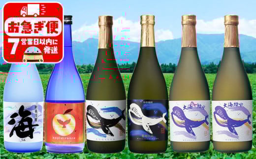 D4-25109/大海酒造こだわり焼酎 720ml 6本セット鹿児島県垂水市40000酒・アルコール焼酎