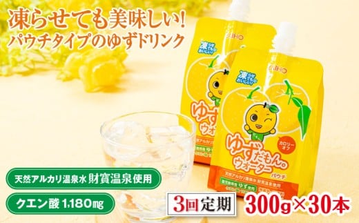 B2-22113/【3回定期】 ゆずドリンク 300g×30本 パウチ ゆずだもん。ウォーター鹿児島県垂水市29000お茶・飲料果汁・野菜飲料