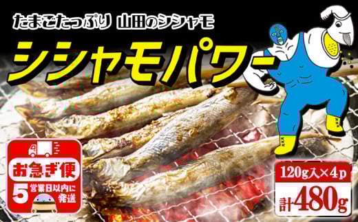 W-1802^Ⓚ q ӂƂ VVp[@480gi120g×4pbNjs7000ECY̑ ECY