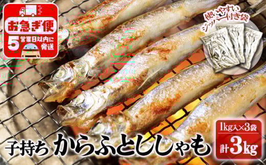 A1-1804^Ⓚ q ӂƂ 3kgi1kg×3܁js15000ECY̑ ECY