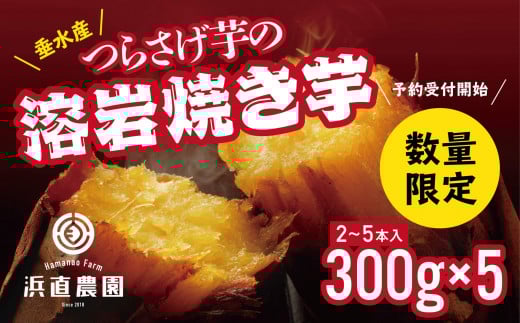 A1-5424^炳̗nĂ@300g×5pbNs16000؁ÊႪEC
