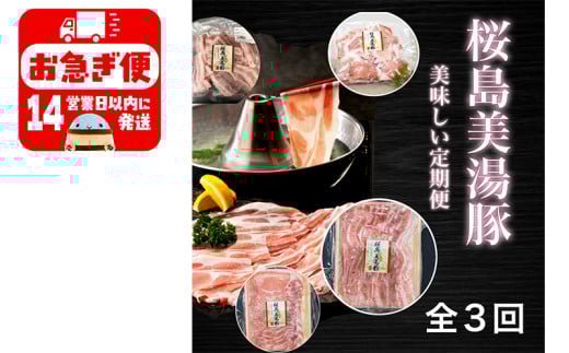 F6-0401/鹿児島県産桜島美湯豚 満腹セット 3回定期便鹿児島県垂水市61000肉豚肉