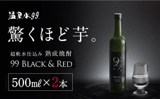 A1-0868^{iĒ 99 BLACKRED@500ml×2{s16000EAR[Ē