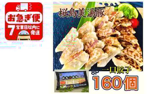 A1-0420/鹿児島県産桜島美湯豚 一口餃子 160個(20個×8パック)鹿児島県垂水市15000鍋セット・総菜・加工食品総菜