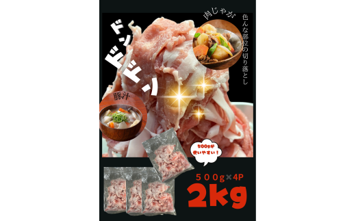 A1-0439/【訳あり】鹿児島県産 豚肉 切り落とし 2kg(500g×4P)鹿児島県垂水市10000肉豚肉