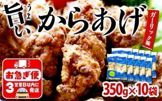 B2-2139/国産 から揚げ ガーリック味 10袋鹿児島県垂水市27000肉鶏肉