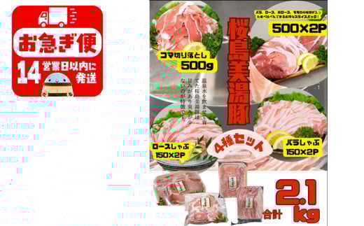 B2-0406/鹿児島県産 桜島美湯豚 4種セット 計2.1kg鹿児島県垂水市22000肉豚肉