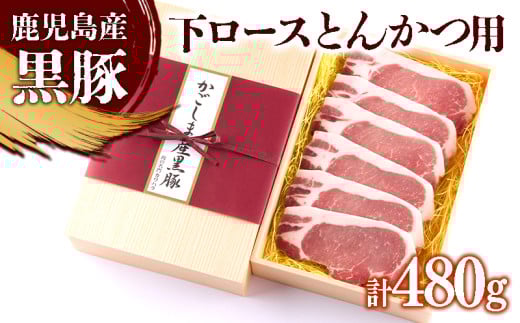 B2-0857/黒豚 下ロース とんかつ用 80g×6枚(計480g)鹿児島県垂水市20000肉豚肉