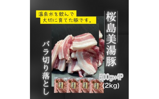 A1-0413/鹿児島県産 桜島美湯豚 バラ 切り落とし 2kg (500g×4パック)鹿児島県垂水市18000肉豚肉