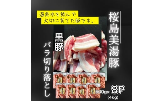 C3-0405/鹿児島県産 桜島美湯豚 バラ 切り落とし 4kg (500g×8パック)鹿児島県垂水市31000肉豚肉