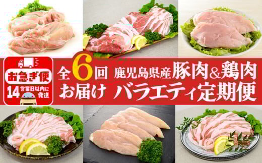 I9-0402/【6回定期便】鹿児島県産 豚肉&鶏肉 バラエティ定期便鹿児島県垂水市93000肉豚肉