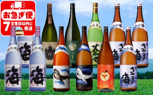 J12-2540/薩摩焼酎 特選 飲み比べ 1.8L 12本セット鹿児島県垂水市120000酒・アルコール焼酎
