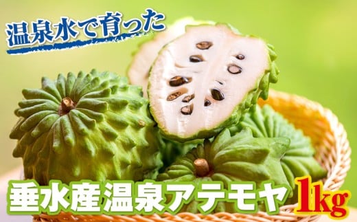 A1-22550/垂水産温泉アテモヤ 1kg【秀品】 森のアイスクリーム 希少な国産アテモヤ鹿児島県垂水市16000果物・フルーツその他 果物・フルーツ
