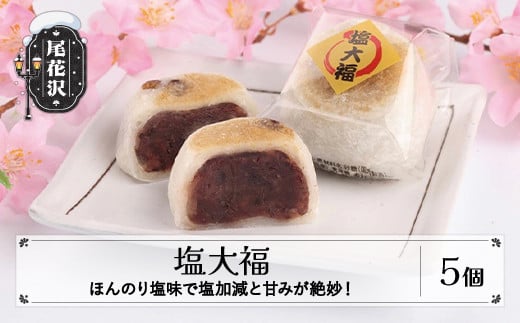 塩大福 5個入り 冷凍 山形県 尾花沢市 明友 kb-swsdx5山形県尾花沢市7000菓子・スイーツ饅頭・羊羹・大福