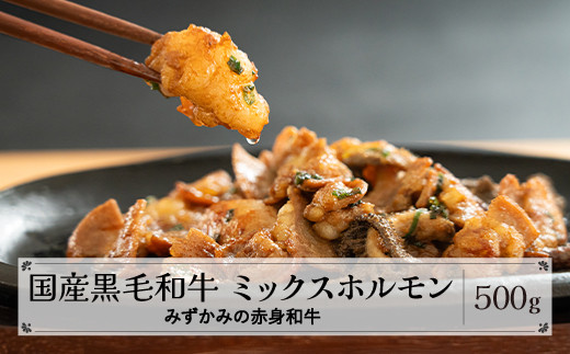 みずかみの赤身和牛 ミックスホルモン 500g 肉 牛 牛肉 赤身 国産 黒毛和牛 和牛 焼肉 水上畜産  mz-wgmhx500山形県尾花沢市13000肉牛肉