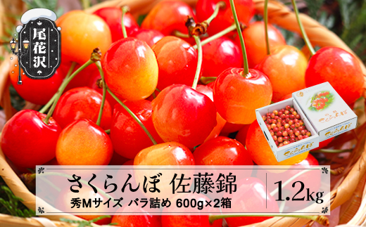 先行予約 さくらんぼ 佐藤錦 秀Mサイズ 1.2kg(600g×2箱) 6月上旬~下旬頃発送 バラ詰め 令和8年産 2026年産 山形県産 ns-snsmb1200山形県尾花沢市18000果物・フルーツさくらんぼ