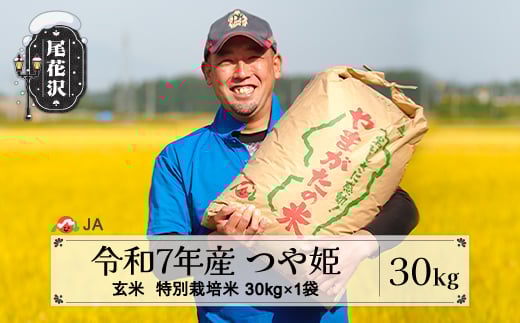令和7年産 新米 玄米 特別栽培米 つや姫 30kg 12月下旬発送 ja-tsgta30-12s山形県尾花沢市70000米・パン玄米・雑穀米・もち米・餅