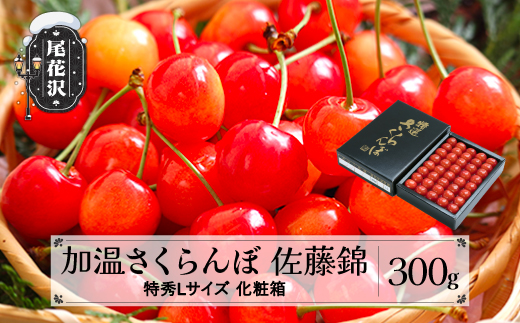 s\    GLTCY 300g 5{~5{ v[g Mtg ϔl ߘa8NY 2026NY nEX nEX͔| R`Y ns-sntlx300R`ԑs21000ʕE
