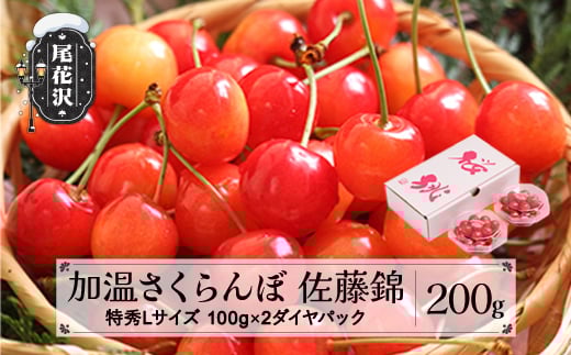 先行予約 加温 さくらんぼ 佐藤錦 特秀Lサイズ 200g  (100gx2) 5月上旬~5月下旬頃発送 プレゼント ギフト ダイヤパック 令和8年産 2026年産 ハウス ハウス栽培 山形県産 ns-sntdp200山形県尾花沢市14000