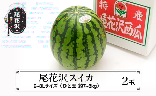 s\ ԑXCJ 2`3LTCY(7`8kg)×2 7{`8{ ߘa8NY 2026NY _YZ^[  Z Eւ̔zs ns-su23x2R`ԑs18000ʕEt