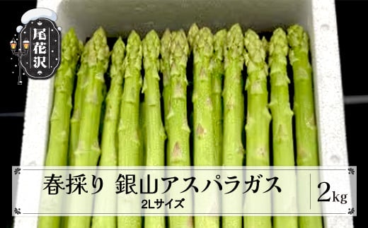春採り 銀山アスパラガス 2Lサイズ(極太) 2kg 5月中旬~発送 令和8年産 2026年産 アスパラ アスパラガス 銀山アスパラ グリーンアスパラガス 山形県 山形 尾花沢市 尾花沢 nk-vga2x2山形県尾花沢市2