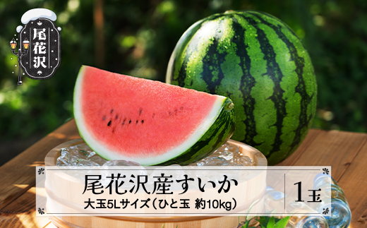 先行予約 尾花沢産すいか 5Lサイズ 約10kg×1玉 7月中旬〜8月中旬頃発送 令和8年産 2026年産 すいか スイカ 西瓜 フルーツ 果物 産地直送 農産加工 ※沖縄・離島への配送不可 nk-su5xx1山形県尾花