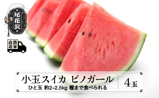 先行予約 小玉スイカ (約2~2.5kg)×4玉 7月中旬〜8月上旬頃発送 ピノガール タネまで食べられる 令和8年産 2026年産 尾花沢産 スイカ すいか 西瓜 果物 くだもの フルーツ 観光物産 kb-supgx4山形県