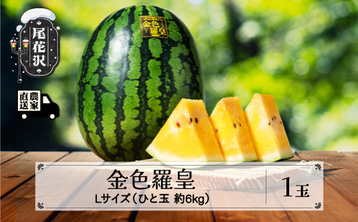 s\ Fc LTCY 6kg×1 7{`8{ ߘa8NY 2026NY 񂶂炨 ԑYXCJ ԑY XCJ  Z ʕ  t[c όY kb-sukr11R`