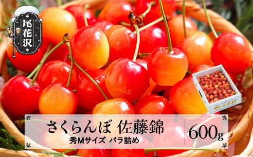 先行予約 さくらんぼ 佐藤錦 秀Mサイズ 600g(600g×1箱) 6月上旬~下旬頃発送 バラ詰め 令和8年産 2026年産 山形県産 ns-snsmb600山形県尾花沢市15000果物・フルーツさくらんぼ