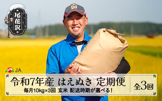 新米 米 毎月定期便 10kg×3回  はえぬき 玄米 令和7年産 2025年産 山形県尾花沢市産  2月下旬発送開始 ja-hagxa10_tm-2s山形県尾花沢市73000米・パン白米