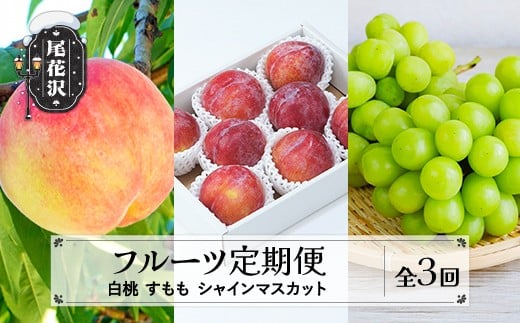 【先行予約】フルーツ定期便 全3回 白桃 すもも シャインマスカット 秀品 2026年8月上旬頃~発送開始 2026年産 令和8年産 佐竹物産 ※沖縄・離島への配送不可 sb-fthps3-b山形県尾花沢市28000果物・
