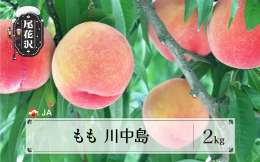 s\  쒆 2kg(6`8) 2026NY ߘa8NY 8{`9{    ʕ t[c R`Y  Eւ̔zs ja-moknx2-bR`ԑs10000ʕEt[c
