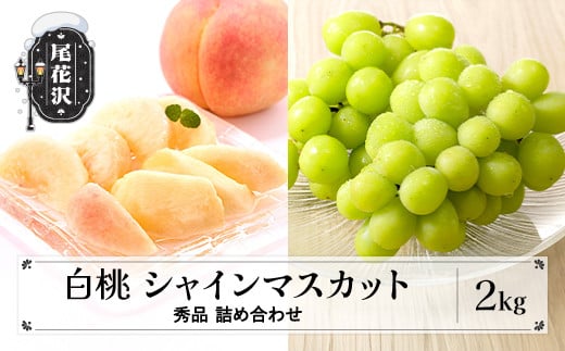 ys\zߘa8NY  VC}XJbg Gi lߍ킹 v2kg 2026NY R`Y   Ԃǂ ʕ t[c Mtg  Zbg gݍ킹   Eւ̔zs ns-fshsx2-bR