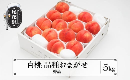 先行予約 もも 白桃 秀品 品種おまかせ 5kg  化粧箱入 フルーツ 果物 2026年産 令和8年産 山形県産 ns-mohtx5-b山形県尾花沢市22000果物・フルーツもも・すもも
