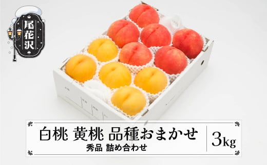 先行予約 もも 白桃 有袋黄桃 秀品 詰め合わせ 品種おまかせ 3kg  化粧箱入 フルーツ 果物 アソート 2026年産 令和8年産 山形県産 ns-mohot3-b山形県尾花沢市16000果物・フルーツもも・すもも
