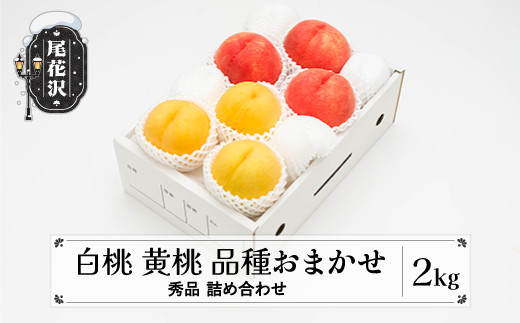 先行予約 もも 白桃 有袋黄桃 秀品 詰め合わせ 品種おまかせ 2kg  化粧箱入 フルーツ 果物 アソート 2026年産 令和8年産 山形県産 ns-mohot2-b山形県尾花沢市13000果物・フルーツもも・すもも