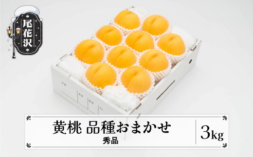 先行予約 もも 有袋黄桃 秀品 品種おまかせ 3kg  化粧箱入 フルーツ 果物 2026年産 令和8年産 山形県産 ns-mootx3-b山形県尾花沢市15000果物・フルーツもも・すもも