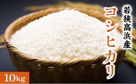 若狭高浜産 コシヒカリ 精米 10kg エコファーマー認定農家栽培福井県高浜町28000米・パン白米