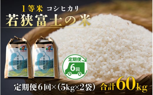 【令和7年産 新米】【6ヶ月連続定期便】一等米コシヒカリ 若狭富士の米 10kg(5kg×2袋)×6回 計60kg【毎月、翌月10日前後で順次発送】福井県高浜町218000米・パン白米