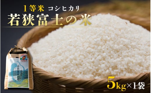 【先行予約】【令和7年産 新米】一等米コシヒカリ 若狭富士の米 5kg【翌月10日前後で順次発送】福井県高浜町20000米・パン白米