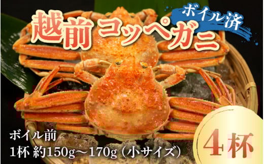 【先行予約】【数量・期間限定】福井県産 越前コッペガニ(セイコガニ)×4杯 【急速冷凍】(プロトン凍結)【11月中旬より順次発送】福井県高浜町22500魚介・海産物カニ