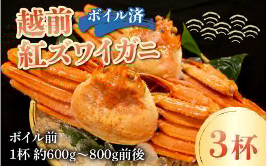 ys\zyʁEԌz䌧Y zO gYCKj ×3ty}Ⓚzivgjy10{ȍ~z䌧l25000ECYJj