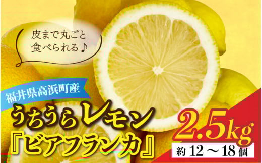 【先行予約】日本海で育ったうちうらレモン「ビアフランカ2.5kg」皮まで丸ごと食べられます!【2026年1月初旬ごろ順次発送】福井県高浜町16000果物・フルーツみかん・柑橘類
