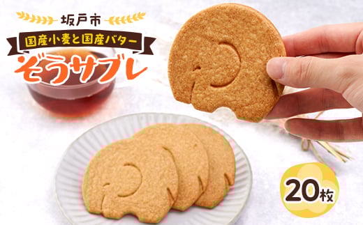 ぞうサブレ 20枚入【1280665】埼玉県坂戸市12000菓子・スイーツ焼き菓子