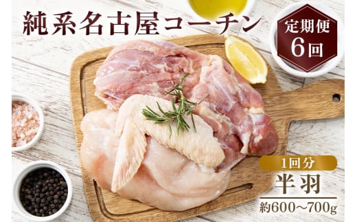 純系名古屋コーチン 定期便 (半羽×6回)|コーチン 鶏肉 鳥肉 とり肉 塊肉 定期便 【0604】愛知県岩倉市90000肉鶏肉