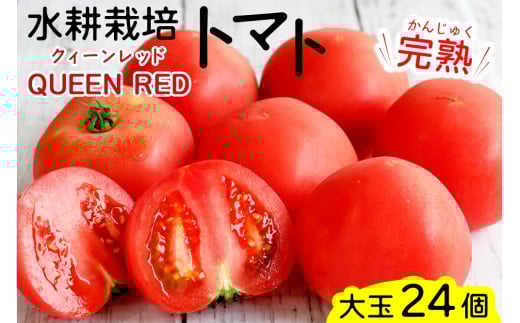 [\t] k͔|g}g () 6 (2025N122026N5)bÂ VN n Ƃ܂    Rs T_ C^A [0684]mqs66000؁Êg}g