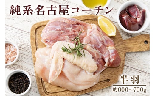 純系名古屋コーチン (半羽)|コーチン 鶏肉 鳥肉 とり肉 塊肉 【0603】愛知県岩倉市15000肉鶏肉