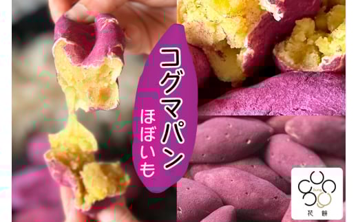 Ԗsung ؍`َq RO}p(قڂ) 8 [0693]mqs12000āEpp